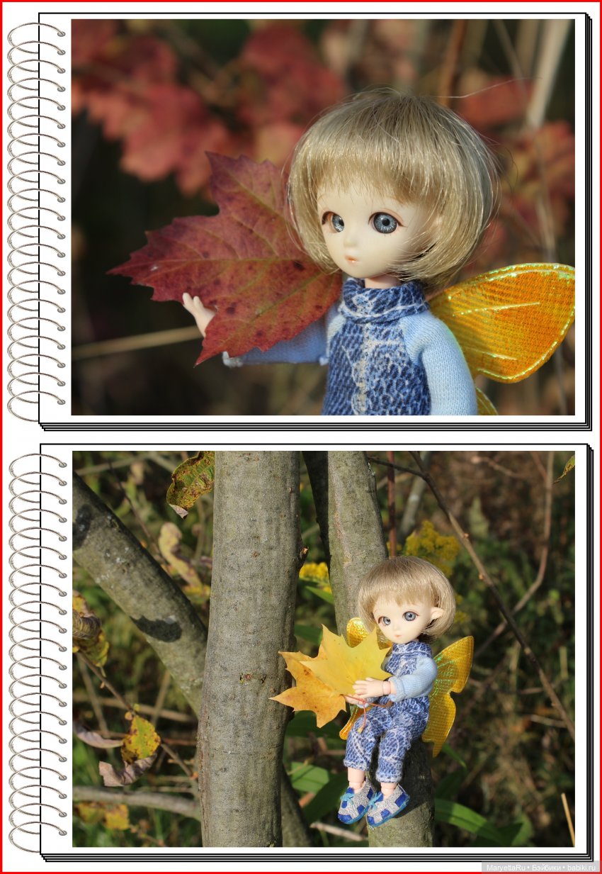 Школа лесных фей. Осенние листья