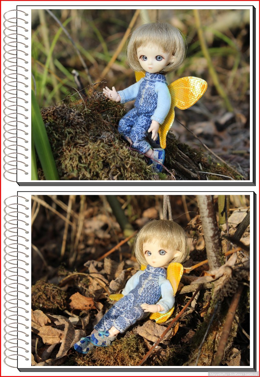 Школа лесных фей. Осенние листья