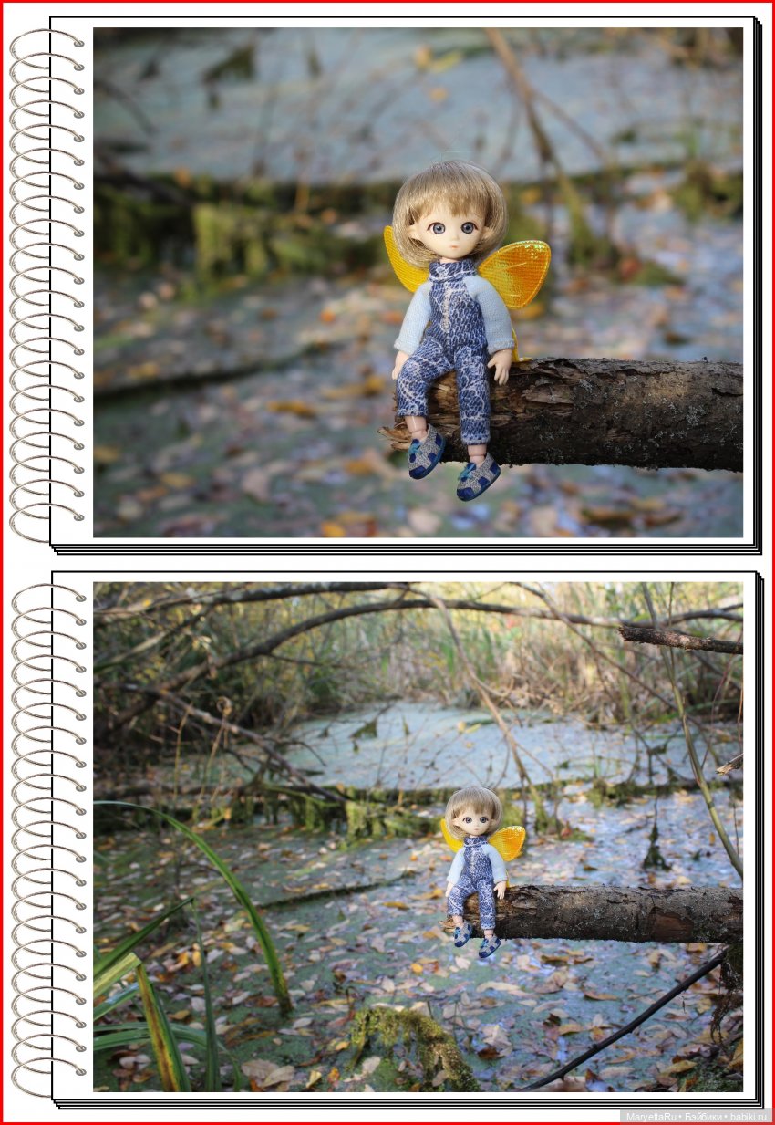 Школа лесных фей. Осенние листья