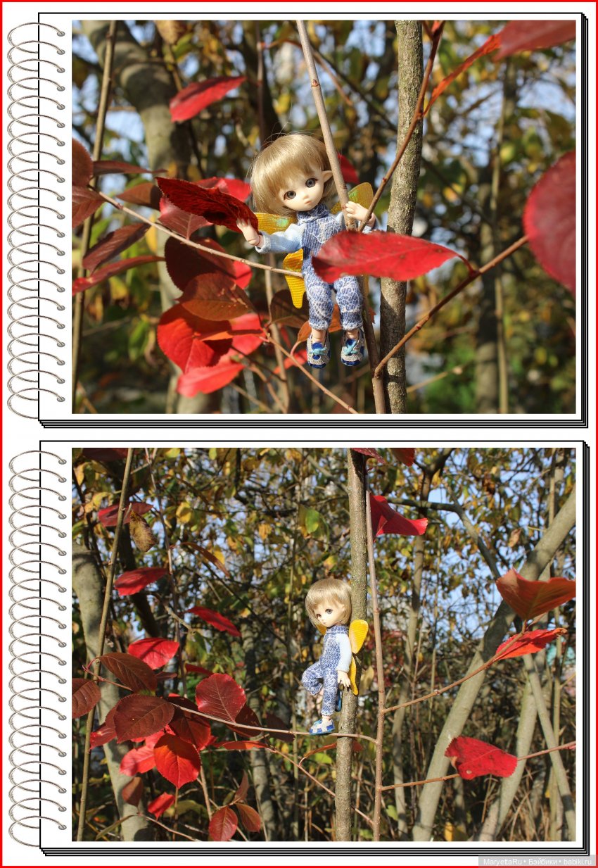 Школа лесных фей. Осенние листья (фото 9)