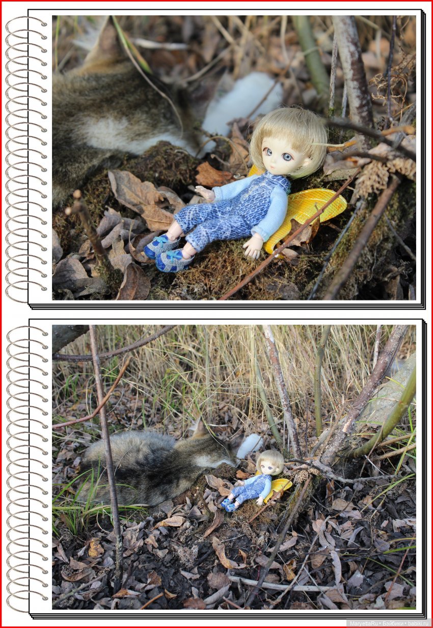 Школа лесных фей. Осенние листья