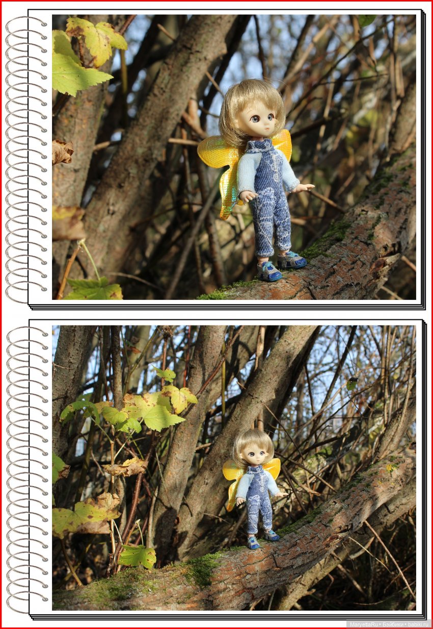 Школа лесных фей. Осенние листья (фото 6)