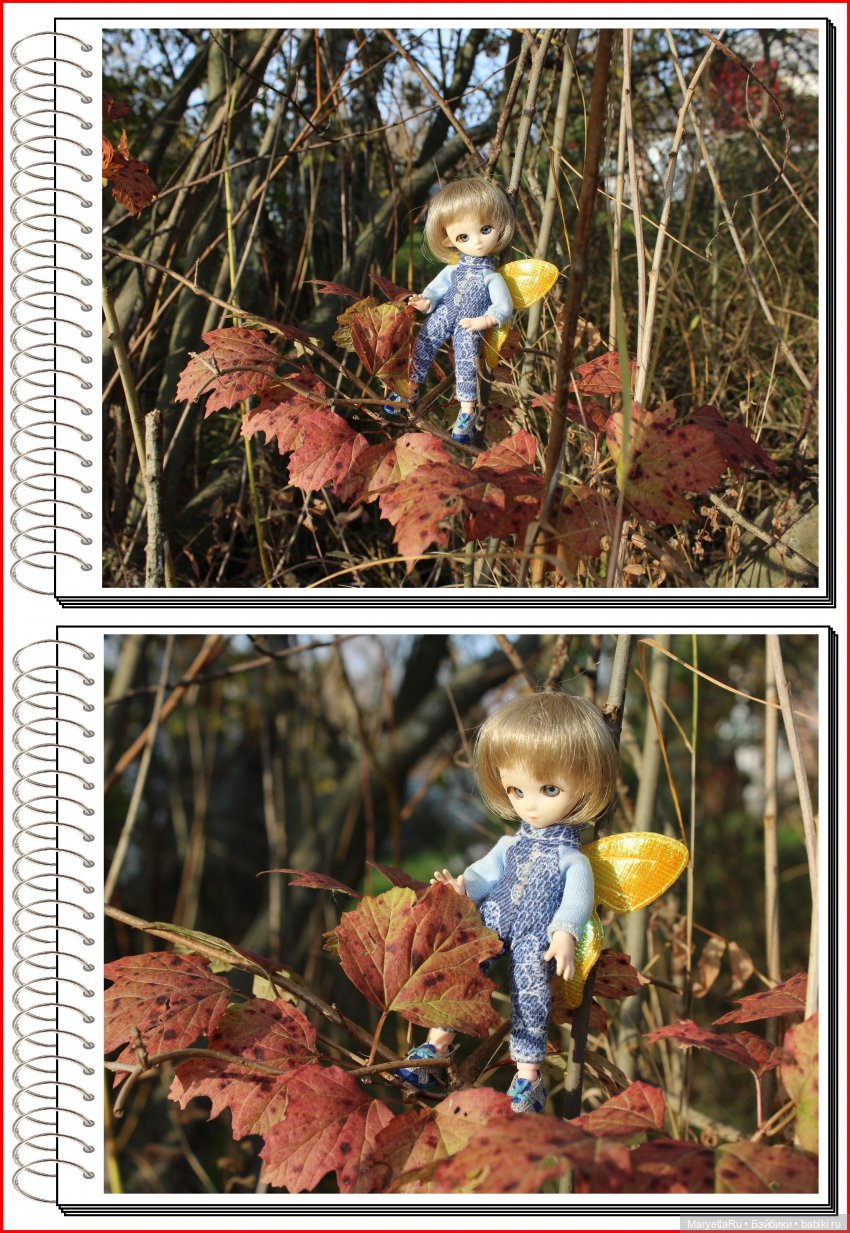 Школа лесных фей. Осенние листья