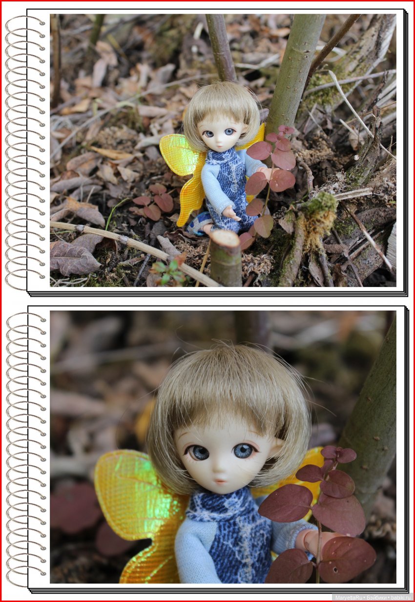 Школа лесных фей. Осенние листья