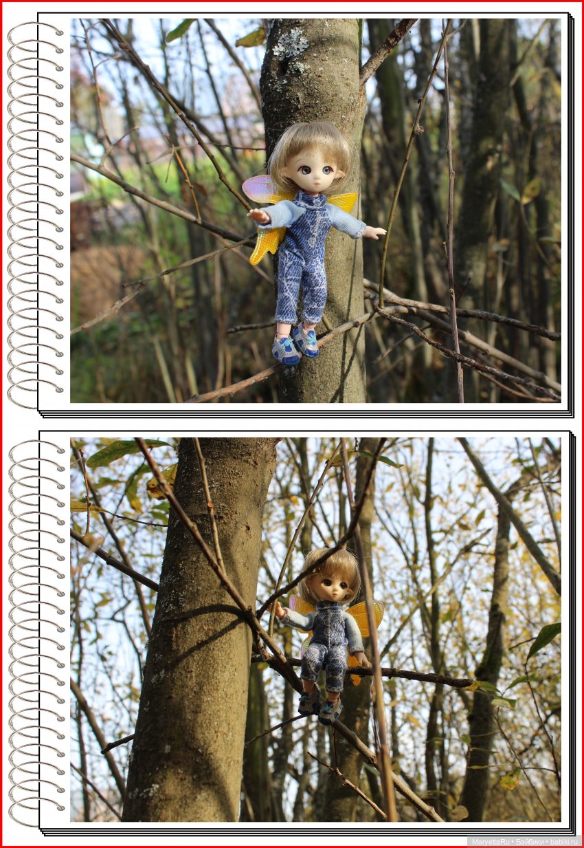 Школа лесных фей. Осенние листья (фото 3)