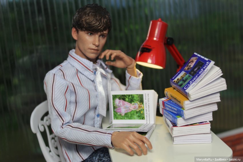 Книги: практические руководства по фотографии размером 1/6