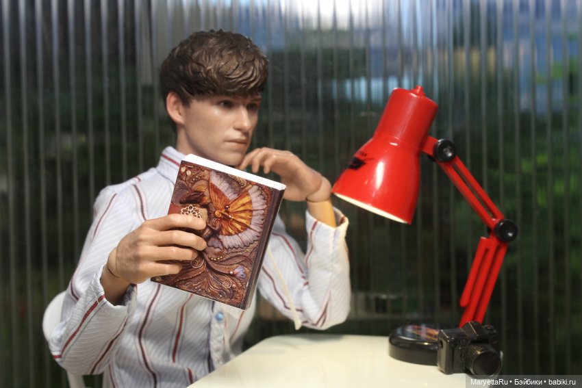 Книги: практические руководства по фотографии размером 1/6