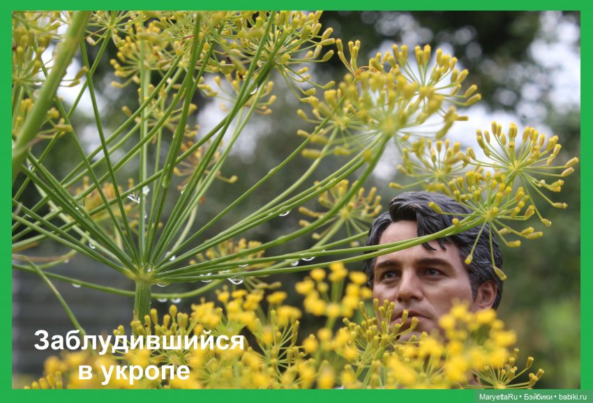 Брюс и феи. Хохмы от Алекса