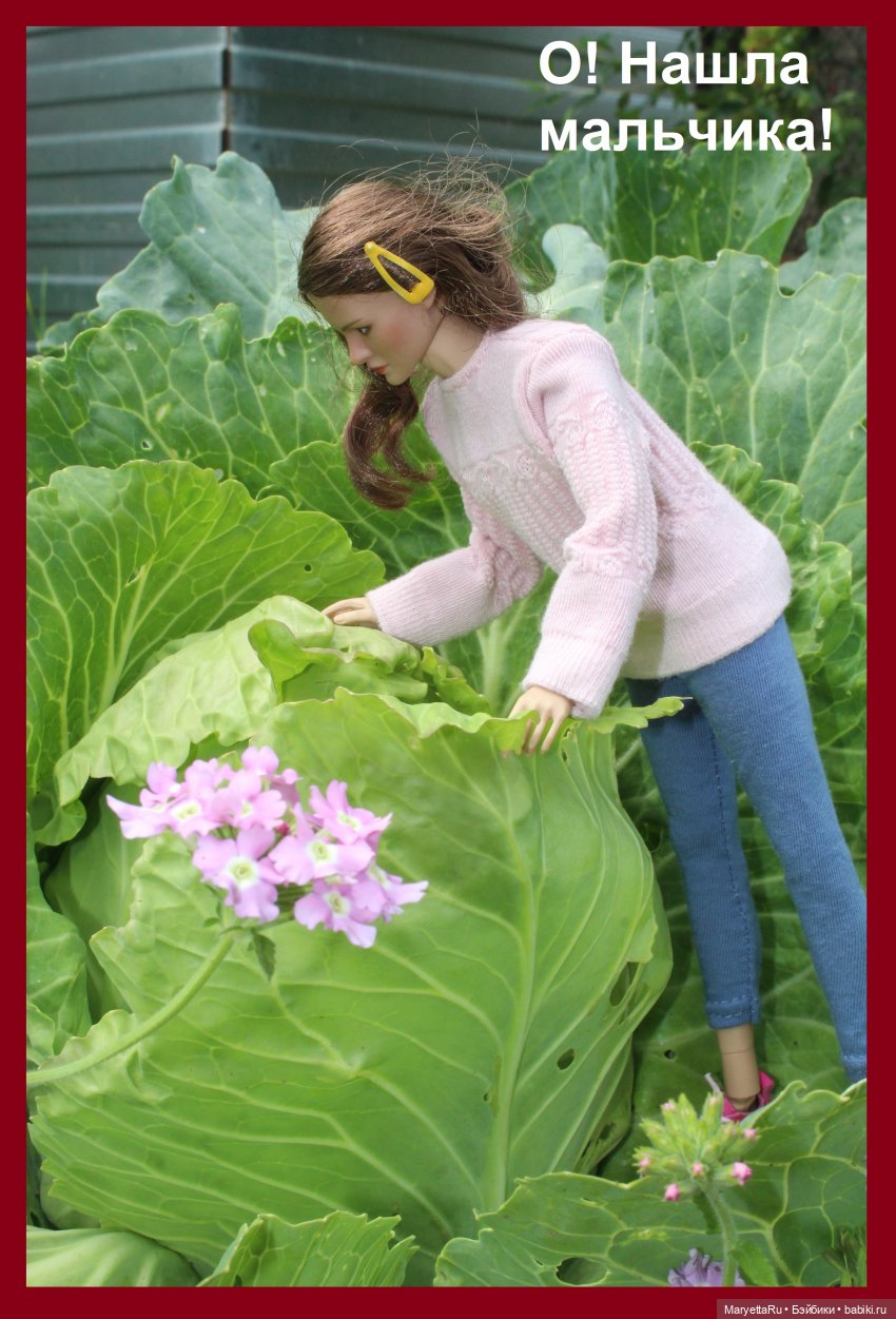 Брюс и феи. Хохмы от Алекса (фото 10)