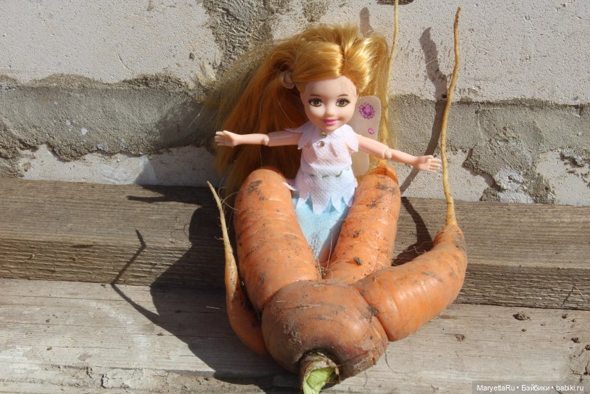 Брюс и феи. Музей Моркови