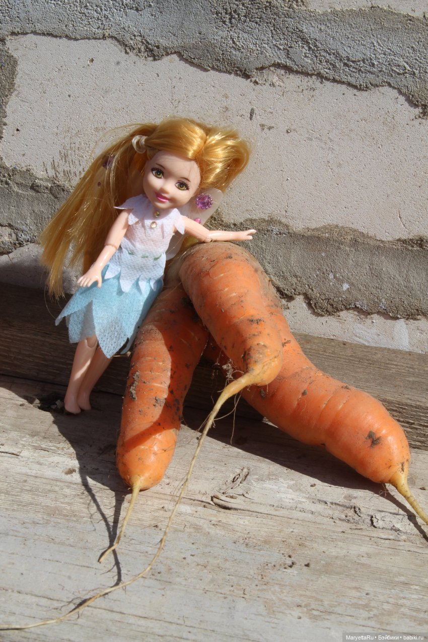 Брюс и феи. Музей Моркови