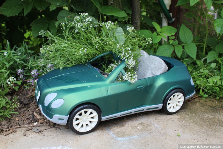 Брюс и феи. Тот, кто держит скипетр