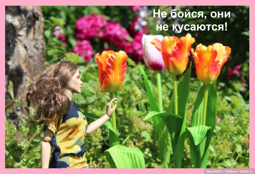 Брюс и феи. Хохмы от Алекса