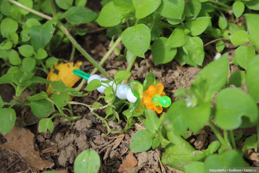 Брюс и феи. Тот, кто держит скипетр