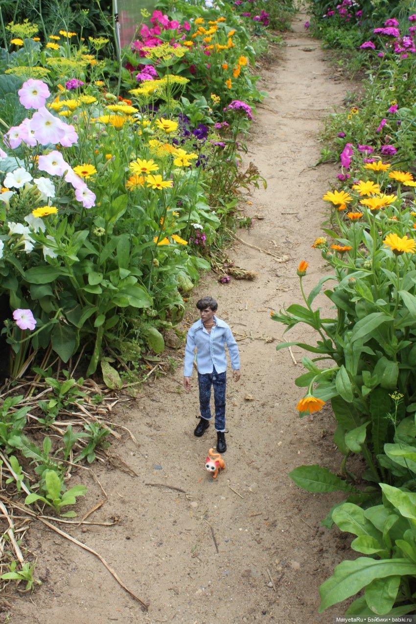 Брюс и феи. Тот, кто держит скипетр