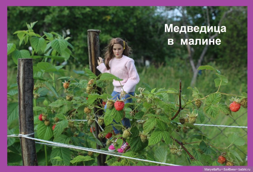 Брюс и феи. Хохмы от Алекса