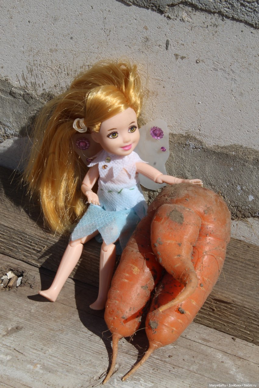 Брюс и феи. Музей Моркови
