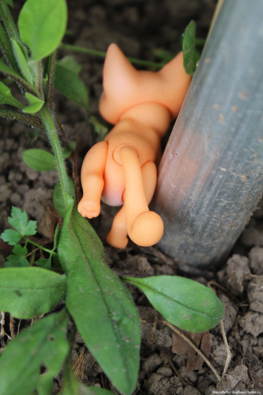 Брюс и феи. Тот, кто держит скипетр