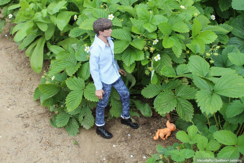 Брюс и феи. Тот, кто держит скипетр (фото 7)