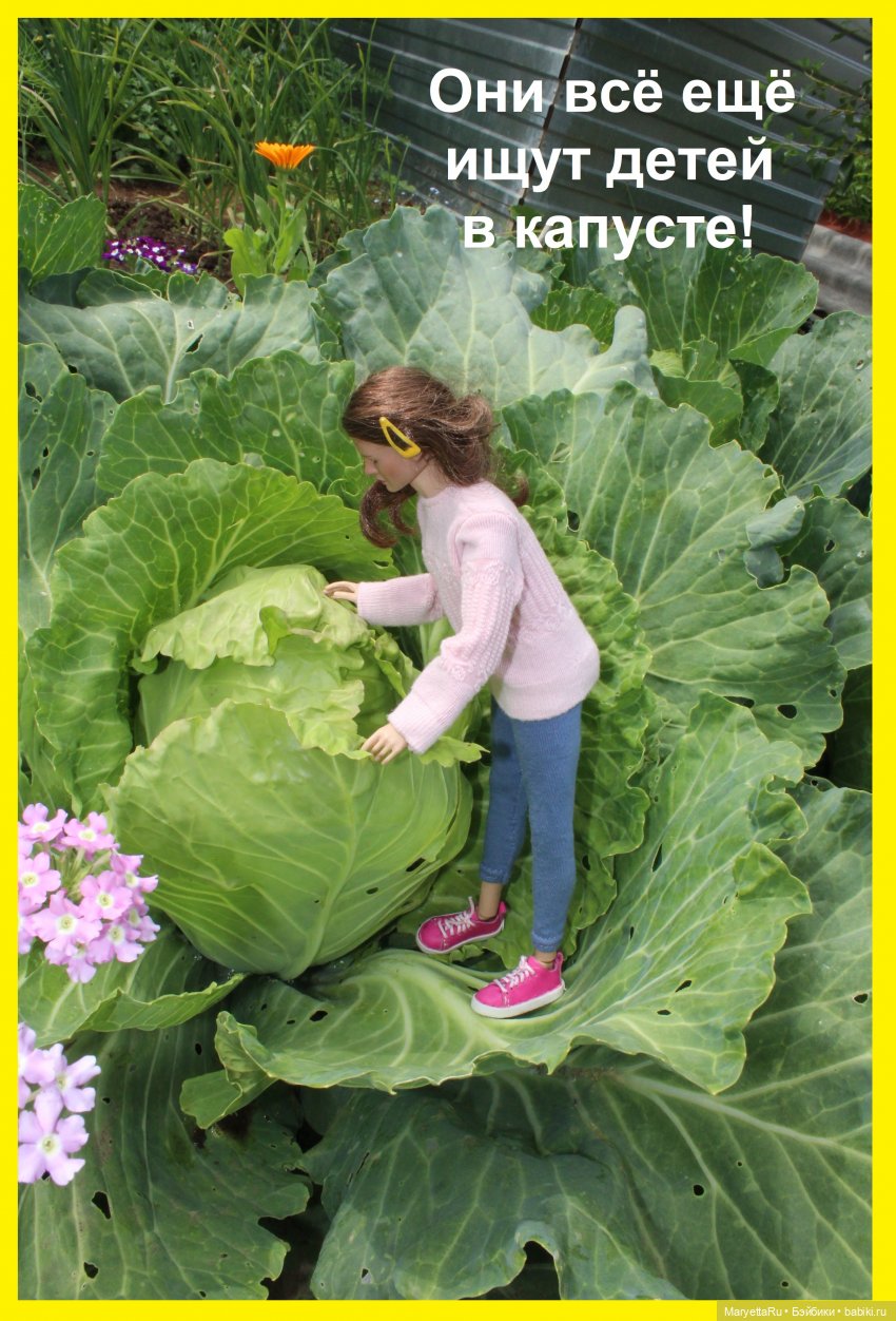 Брюс и феи. Хохмы от Алекса