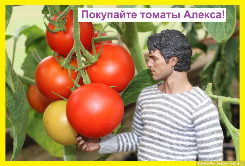 Брюс и феи. Хохмы от Алекса