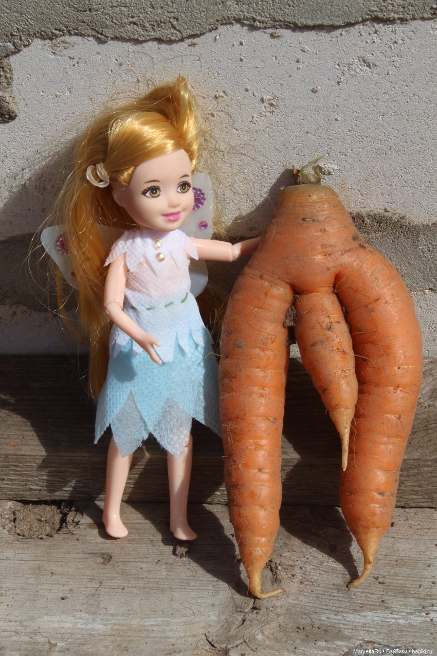 Брюс и феи. Музей Моркови