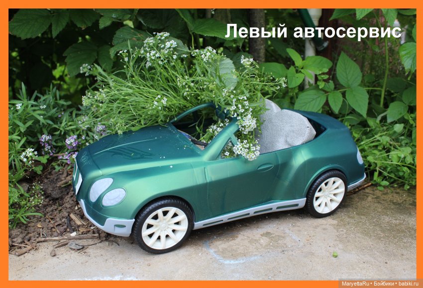 Брюс и феи. Хохмы от Алекса (фото 7)