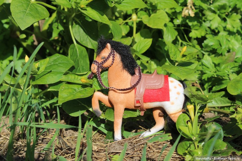 Пони в яблоках — Экшн (фото 4)