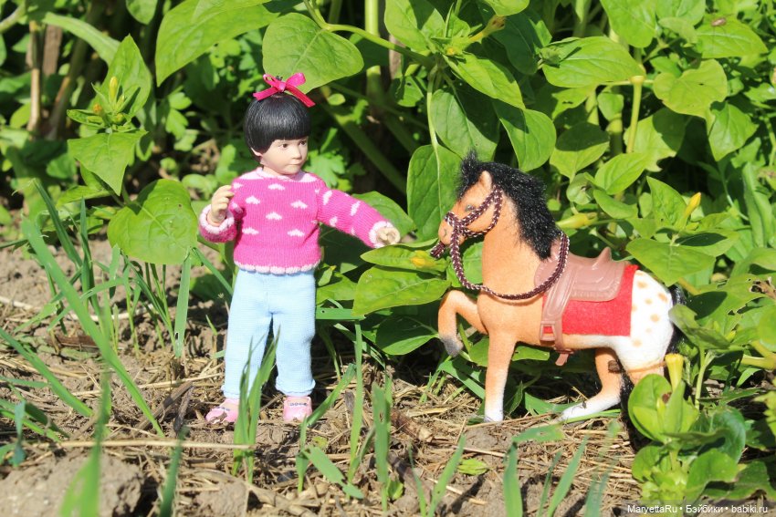 Пони в яблоках — Экшн (фото 3)