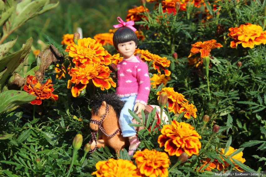 Пони в яблоках — Экшн (фото 10)