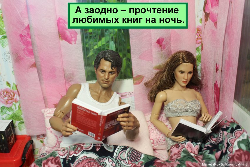 Книги: художественные и научные размером 1/6 (фото 4)