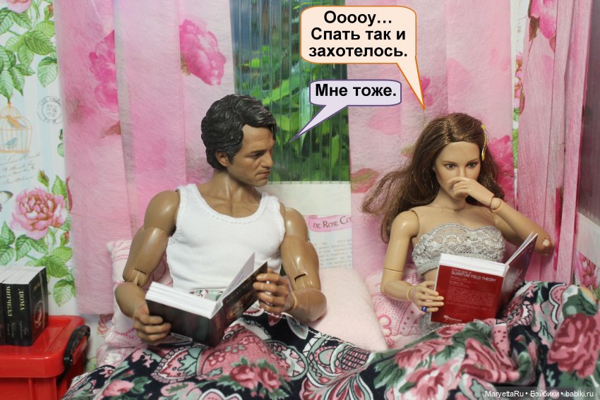 Книги: художественные и научные размером 1/6