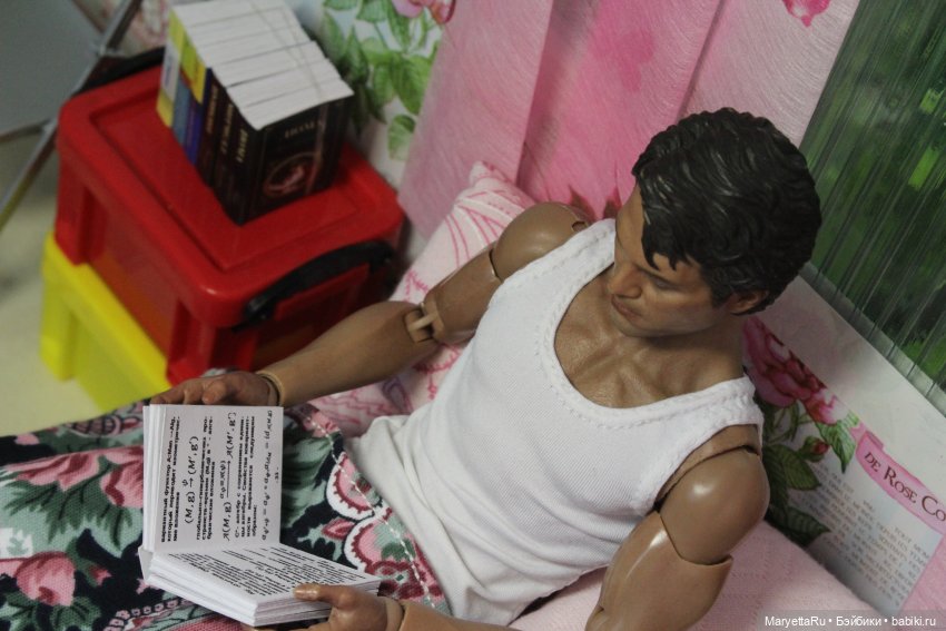 Книги: художественные и научные размером 1/6 (фото 8)