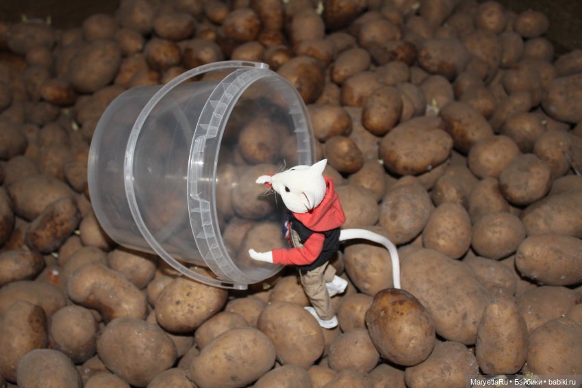 Жалоба на Мыша | Бэйбики Жалоба на Мыша — Кукольные фотоистории и сериалы: комиксы (фото 6)