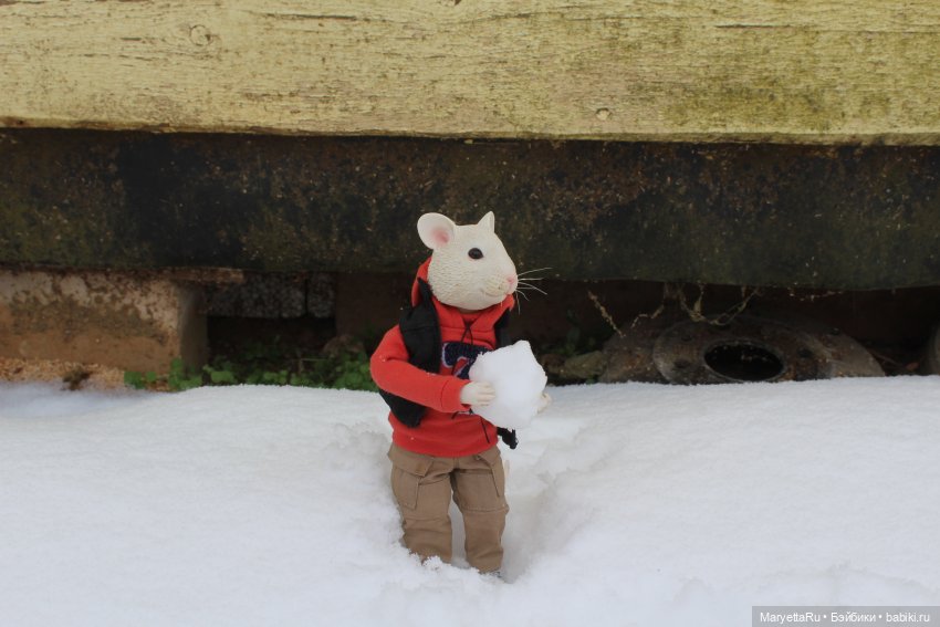 Жалоба на Мыша | Бэйбики Жалоба на Мыша — Кукольные фотоистории и сериалы: комиксы