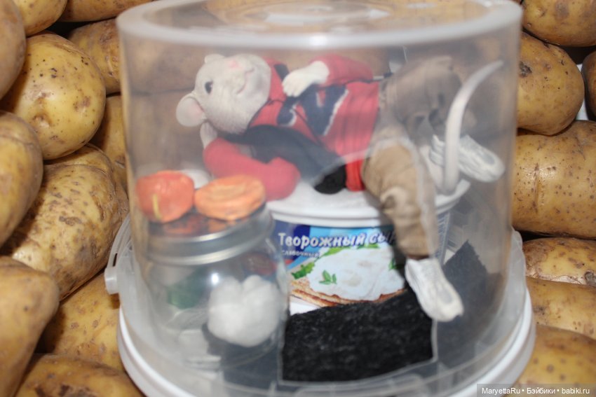 Жалоба на Мыша | Бэйбики Жалоба на Мыша — Кукольные фотоистории и сериалы: комиксы