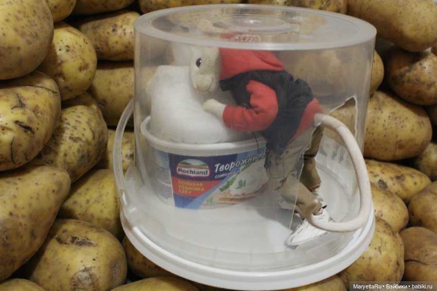 Жалоба на Мыша | Бэйбики Жалоба на Мыша — Кукольные фотоистории и сериалы: комиксы (фото 10)