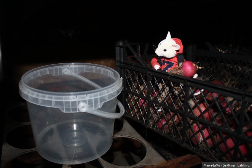 Жалоба на Мыша | Бэйбики Жалоба на Мыша — Кукольные фотоистории и сериалы: комиксы (фото 4)