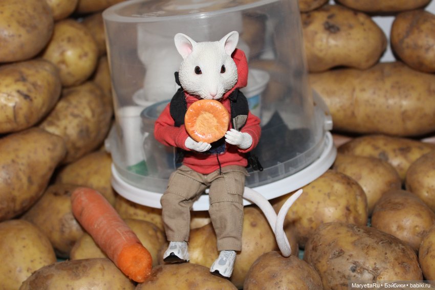 Жалоба на Мыша | Бэйбики Жалоба на Мыша — Кукольные фотоистории и сериалы: комиксы