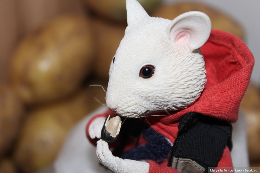 Жалоба на Мыша | Бэйбики Жалоба на Мыша — Кукольные фотоистории и сериалы: комиксы