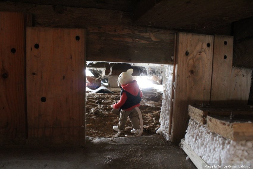 Жалоба на Мыша | Бэйбики Жалоба на Мыша — Кукольные фотоистории и сериалы: комиксы