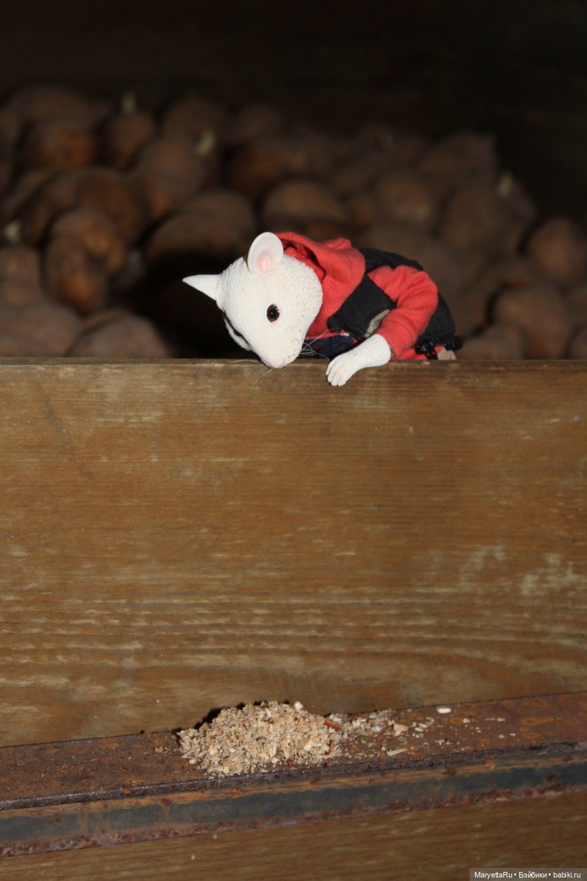 Жалоба на Мыша | Бэйбики Жалоба на Мыша — Кукольные фотоистории и сериалы: комиксы (фото 2)