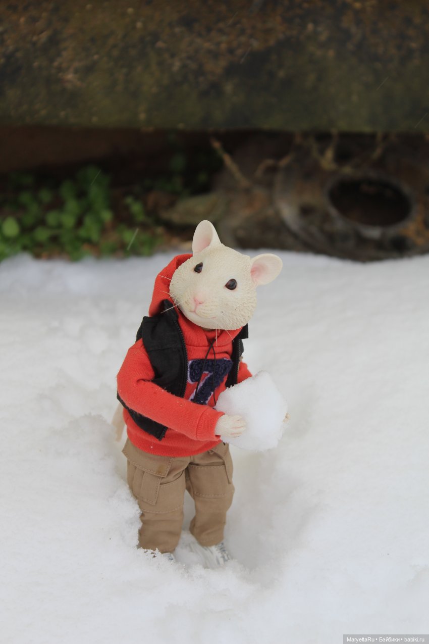 Жалоба на Мыша | Бэйбики Жалоба на Мыша — Кукольные фотоистории и сериалы: комиксы