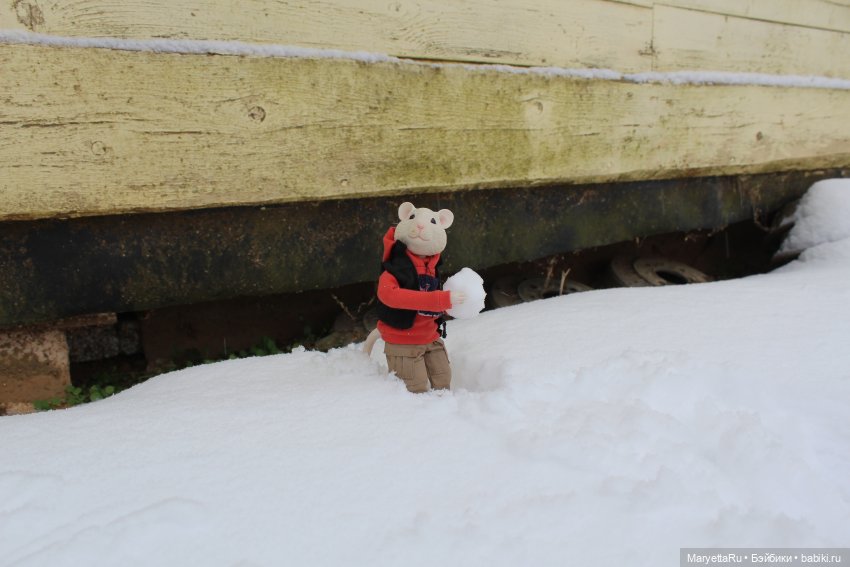 Жалоба на Мыша | Бэйбики Жалоба на Мыша — Кукольные фотоистории и сериалы: комиксы