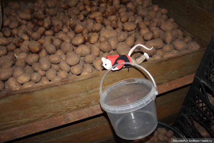 Жалоба на Мыша | Бэйбики Жалоба на Мыша — Кукольные фотоистории и сериалы: комиксы (фото 5)