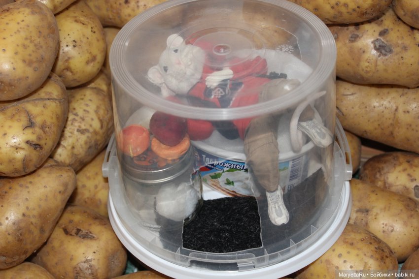 Жалоба на Мыша | Бэйбики Жалоба на Мыша — Кукольные фотоистории и сериалы: комиксы