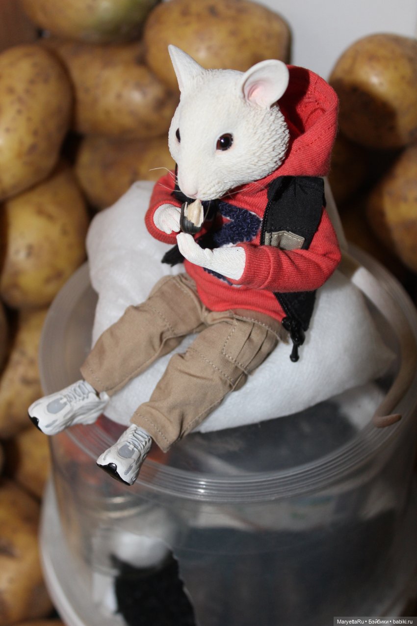 Жалоба на Мыша | Бэйбики Жалоба на Мыша — Кукольные фотоистории и сериалы: комиксы