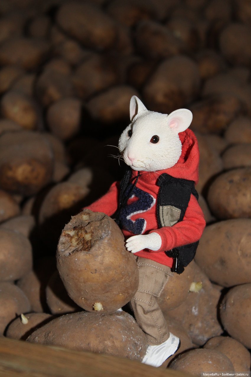 Жалоба на Мыша | Бэйбики Жалоба на Мыша — Кукольные фотоистории и сериалы: комиксы (фото 3)