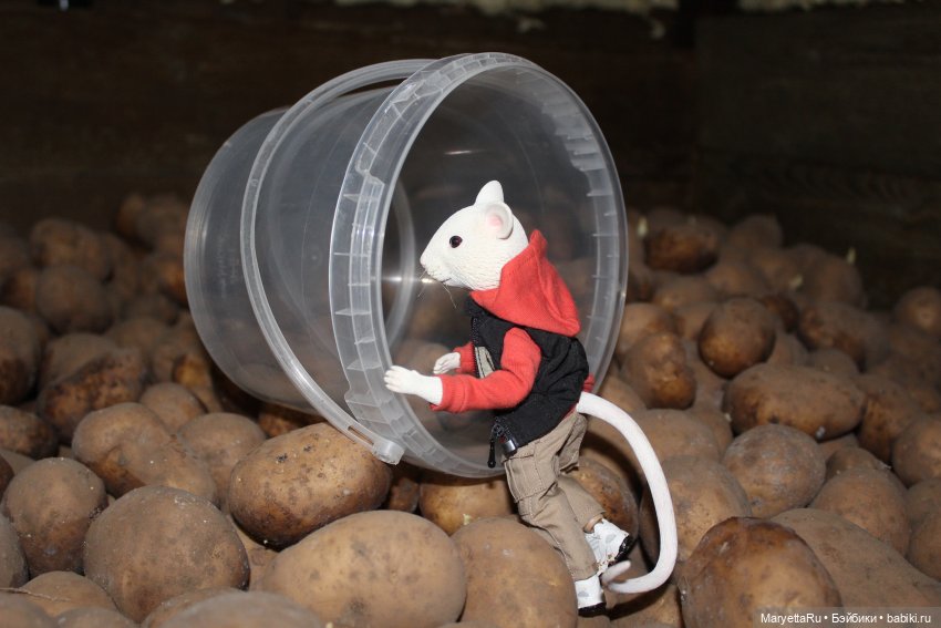 Жалоба на Мыша | Бэйбики Жалоба на Мыша — Кукольные фотоистории и сериалы: комиксы (фото 7)