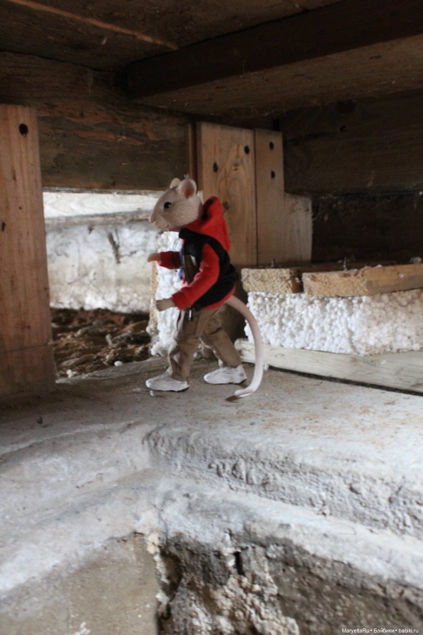 Жалоба на Мыша | Бэйбики Жалоба на Мыша — Кукольные фотоистории и сериалы: комиксы